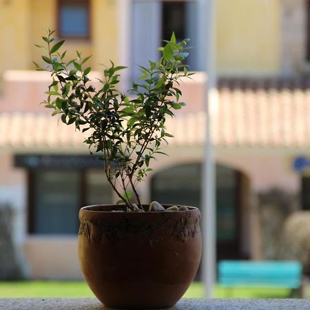Appartamento Le Vele Porto San Paolo  Kültér fotó