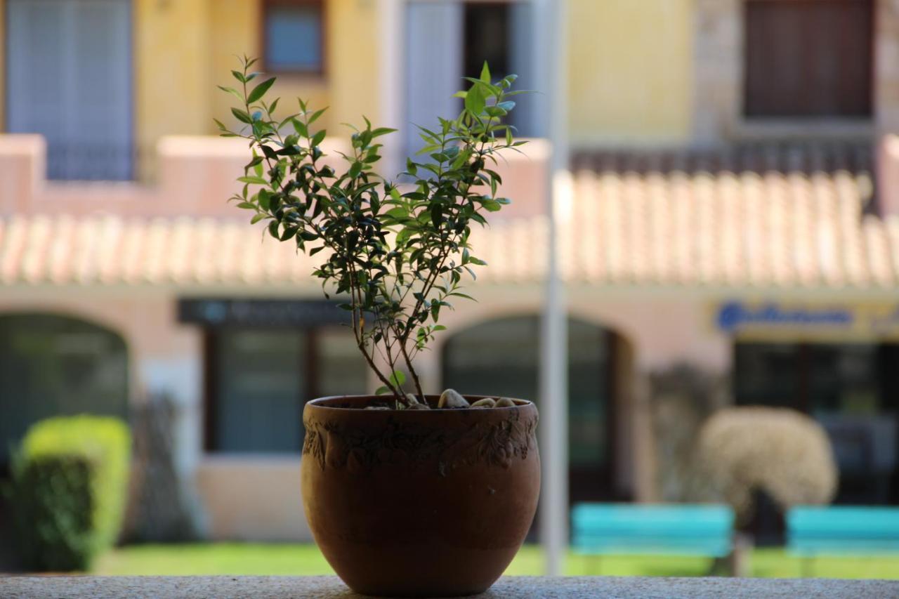 Appartamento Le Vele Porto San Paolo  Kültér fotó